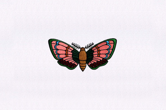 Detailed Moth Design: A Pro Review for Personalized Gifts