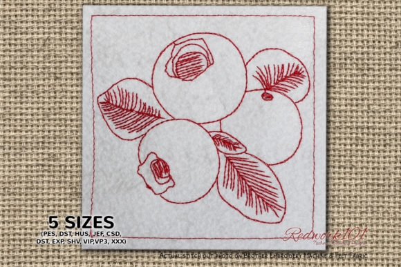 Juicy Blueberry – A Business-First Embroidery Design Review